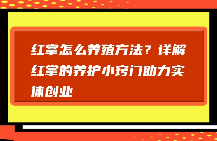 红掌怎么养殖方法？详解红掌的养护小窍门助力实体创业