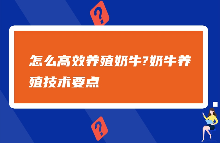 怎么高效养殖奶牛?奶牛养殖技术要点
