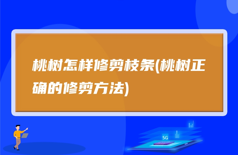 桃树怎样修剪枝条(桃树正确的修剪方法)