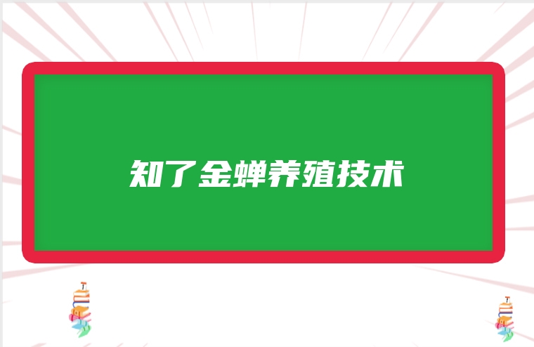 知了金蝉养殖技术