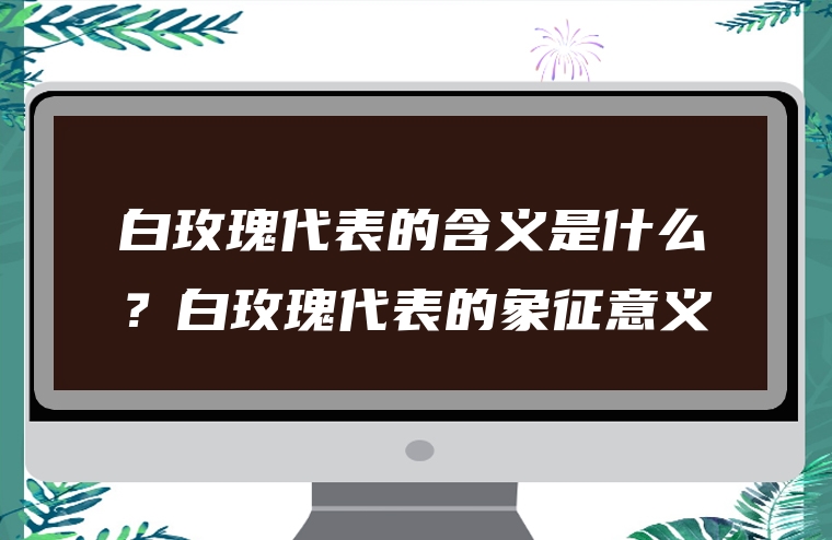 白玫瑰代表的含义是什么？白玫瑰代表的象征意义