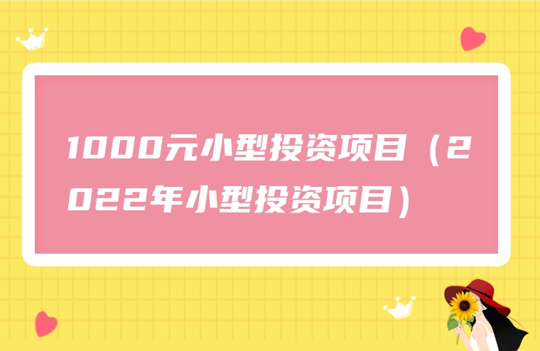 1000元小型投资项目（2022年小型投资项目）