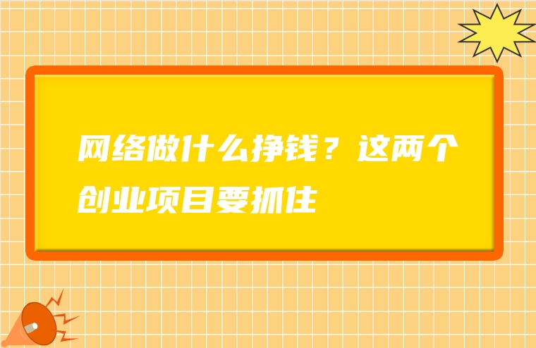 网络做什么挣钱？这两个创业项目要抓住