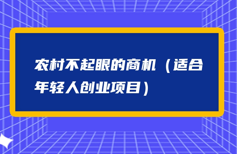 农村不起眼的商机（适合年轻人创业项目）