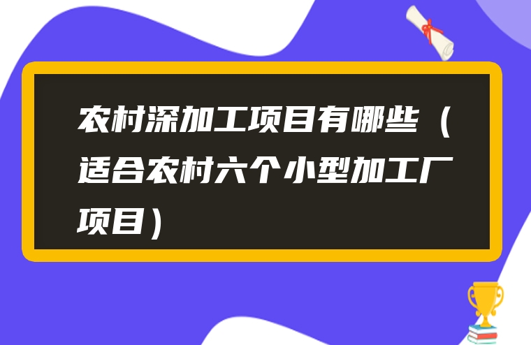 农村深加工项目有哪些（适合农村六个小型加工厂项目）