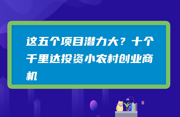 这五个项目潜力大？十个千里达投资小农村创业商机