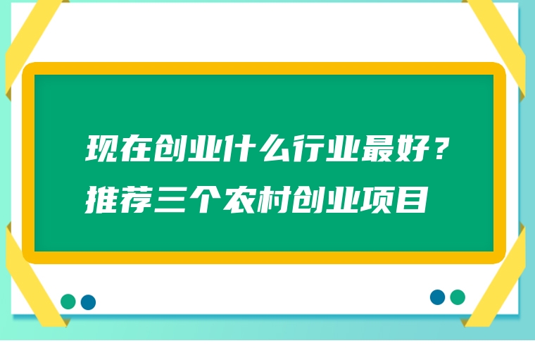 现在创业什么行业最好？推荐三个农村创业项目