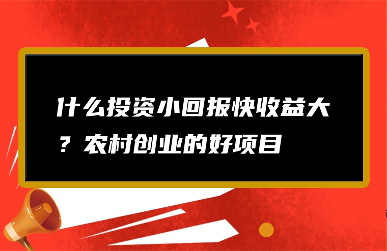 什么投资小回报快收益大？农村创业的好项目