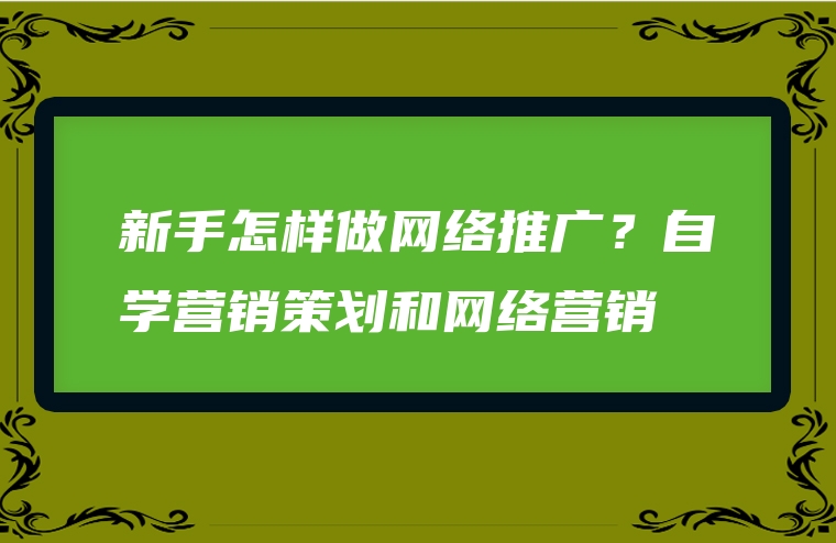 新手怎样做网络推广？自学营销策划和网络营销