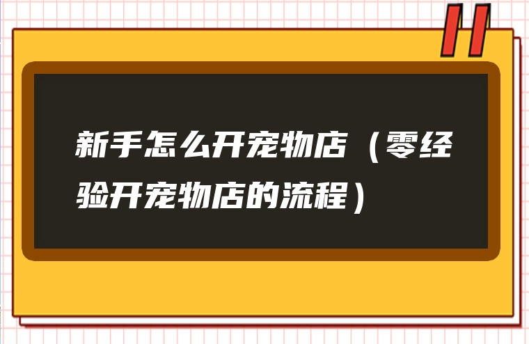 新手怎么开宠物店（零经验开宠物店的流程）